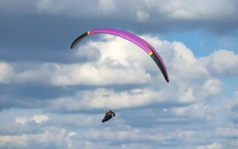 205124279_2999632973645365_1824241034870834587_n