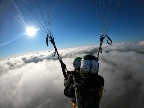 481665865_3985076951767624_7911901386132505459_n